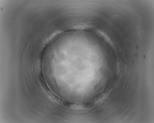 X0000084010354200703022037