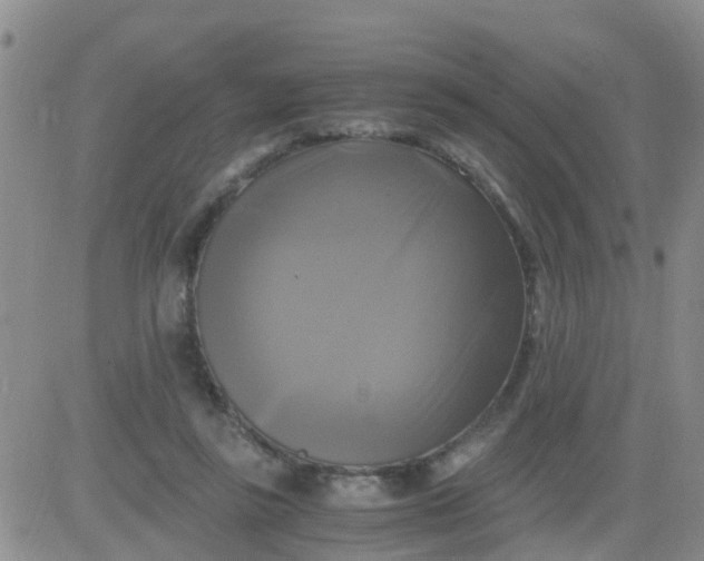 X0000084010355200703022037