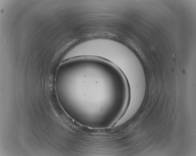 X0000084010356200703022037