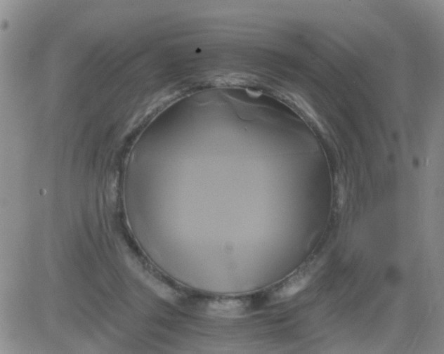 X0000084010357200703022037