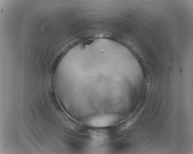 X0000084010359200703022037