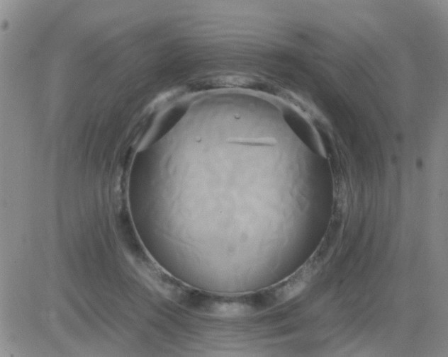 X0000084010360200703022037