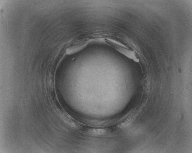 X0000084010361200703022037