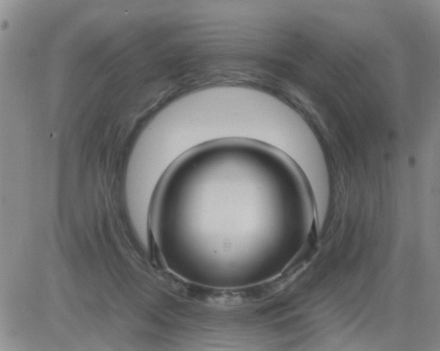 X0000084010362200703022037