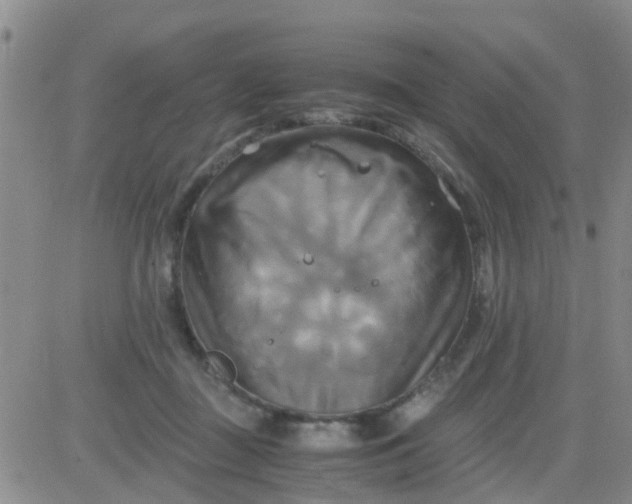 X0000084010363200703022037