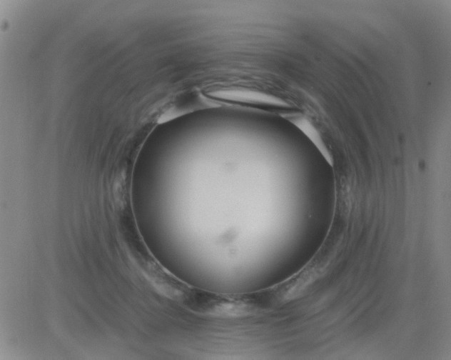 X0000084010364200703022037