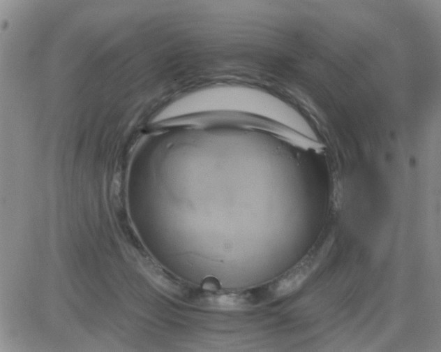 X0000084010365200703022037