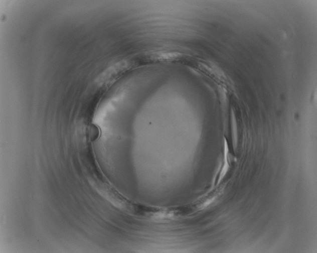 X0000084010366200703022037