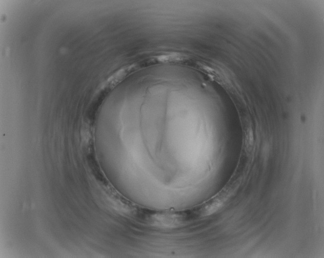 X0000084010367200703022037