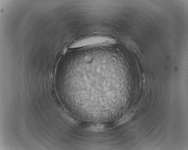 X0000084010369200703022037