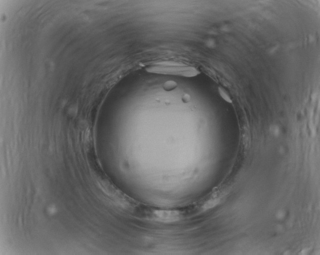 X0000084010371200703022037