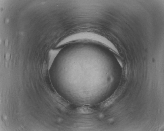 X0000084010372200703022037