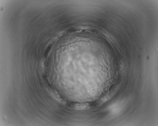 X0000084010373200703022037