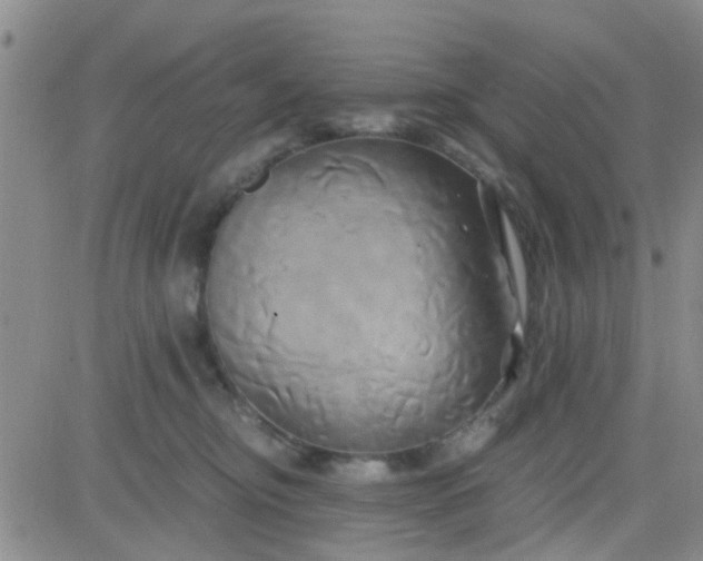 X0000084010374200703022037