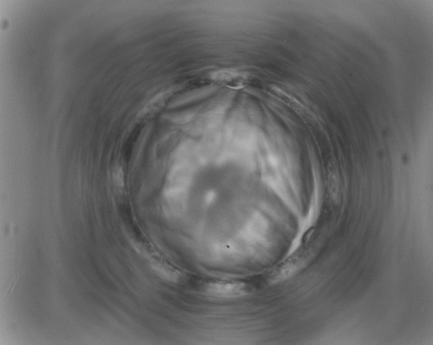 X0000084010375200703022037