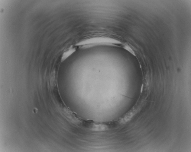 X0000084010376200703022037