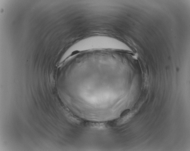 X0000084010377200703022037