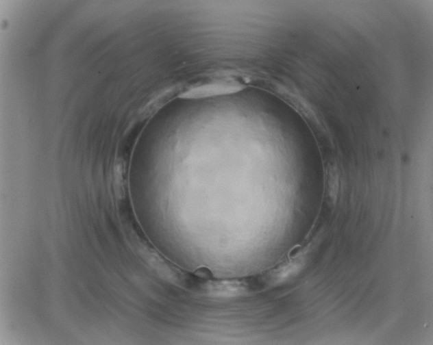 X0000084010378200703022037