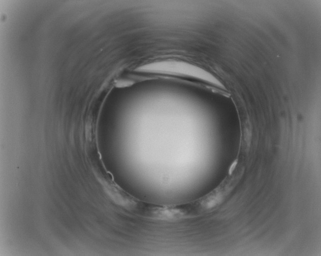 X0000084010379200703022037