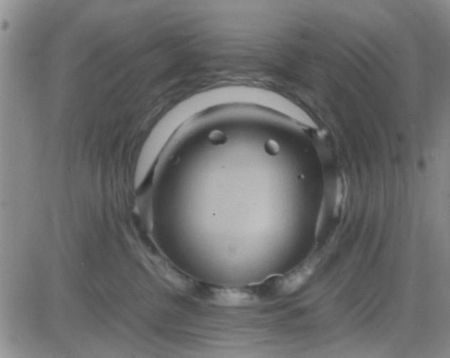 X0000084010380200703022037