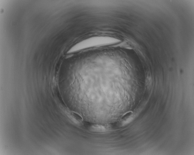 X0000084010381200703022037