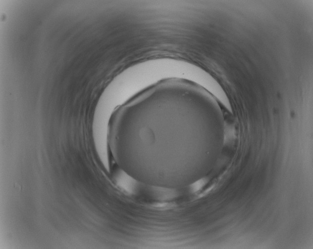 X0000084010382200703022037