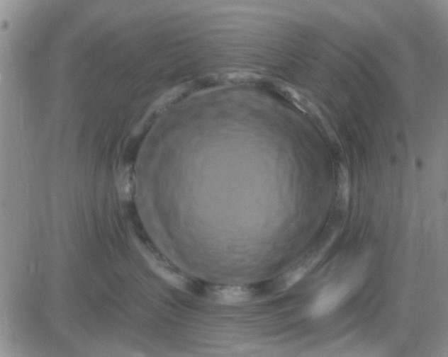 X0000084010383200703022037