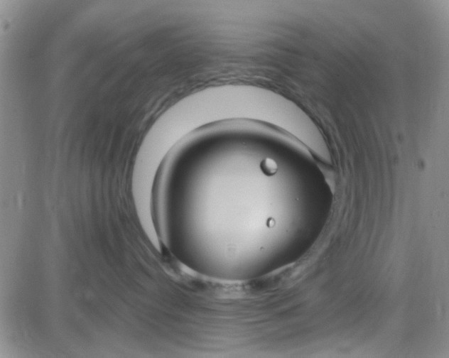 X0000084010384200703022037