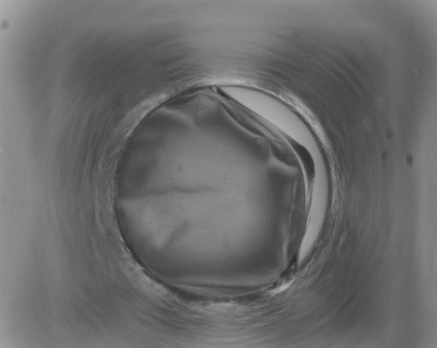 X0000084010385200703022037