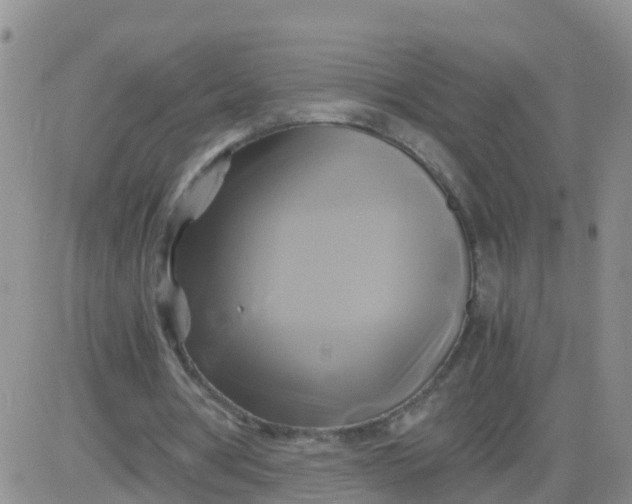 X0000084010386200703022037