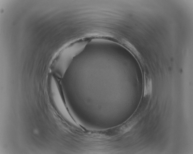 X0000084010387200703022037