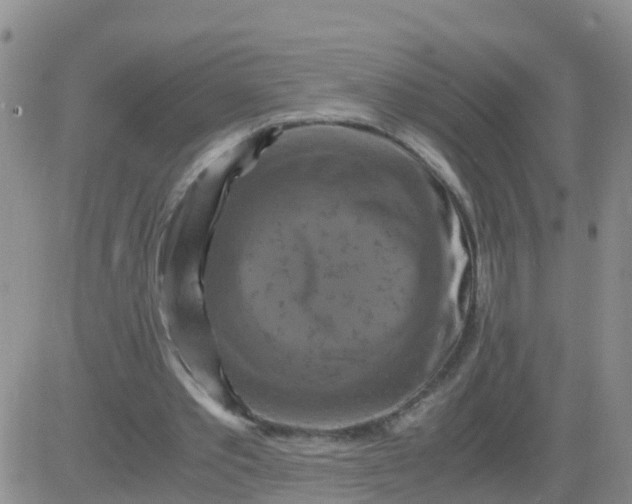 X0000084010389200703022037