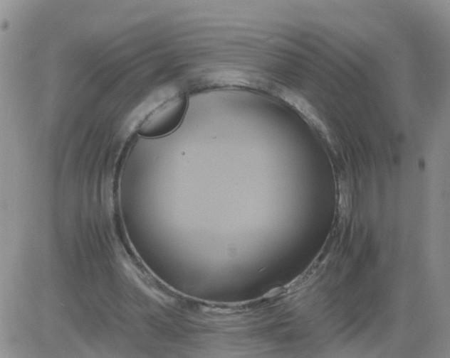 X0000084010390200703022037