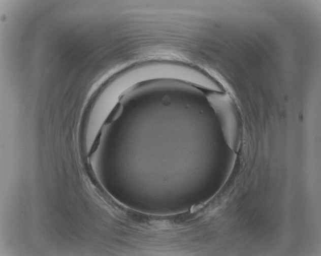 X0000084010391200703022037