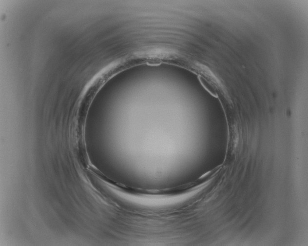 X0000084010392200703022037