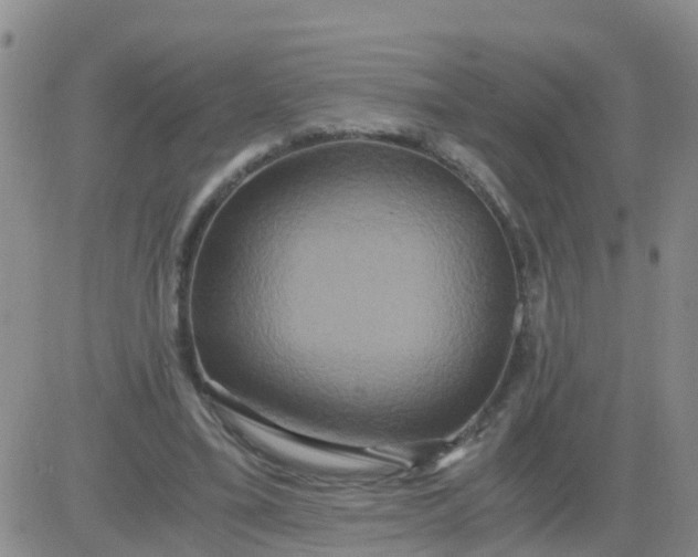 X0000084010395200703022036