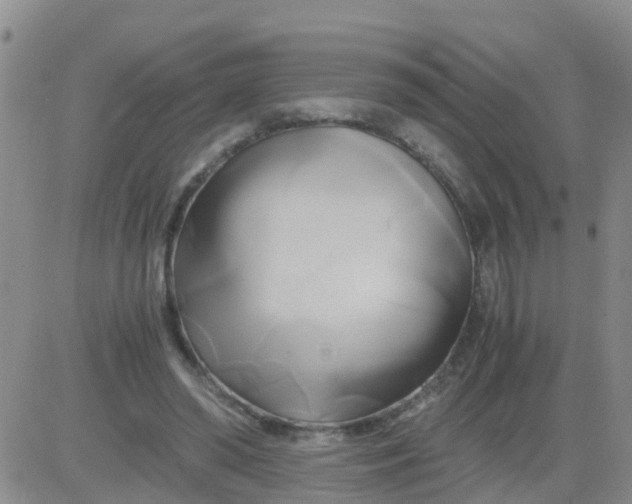 X0000084010398200703022036