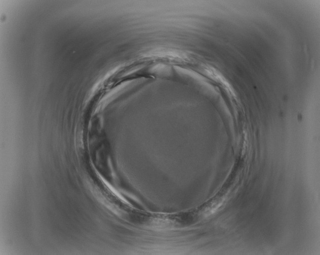 X0000084010399200703022036