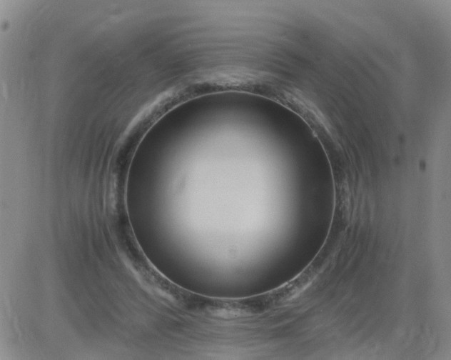 X0000084010400200703022036