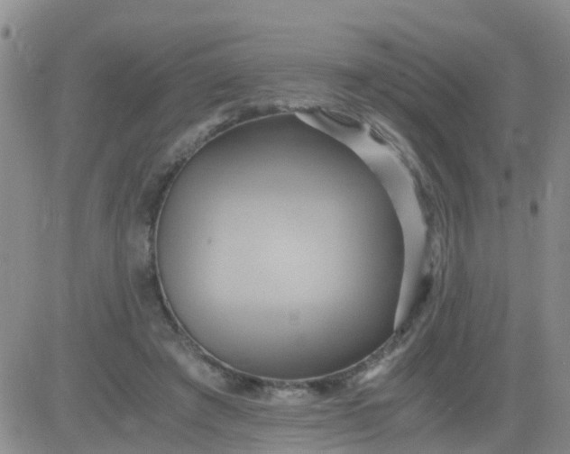 X0000084010401200703022036