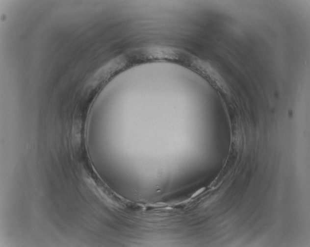 X0000084010402200703022036