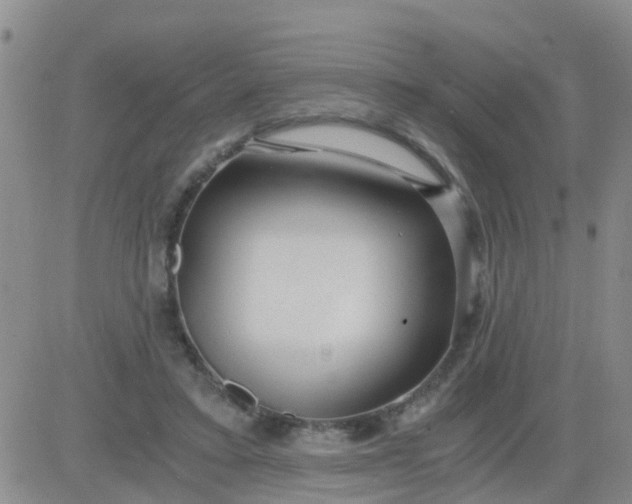 X0000084010403200703022036