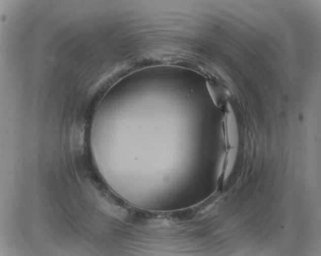 X0000084010404200703022036