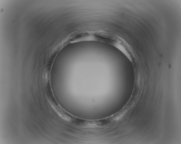 X0000084010405200703022036