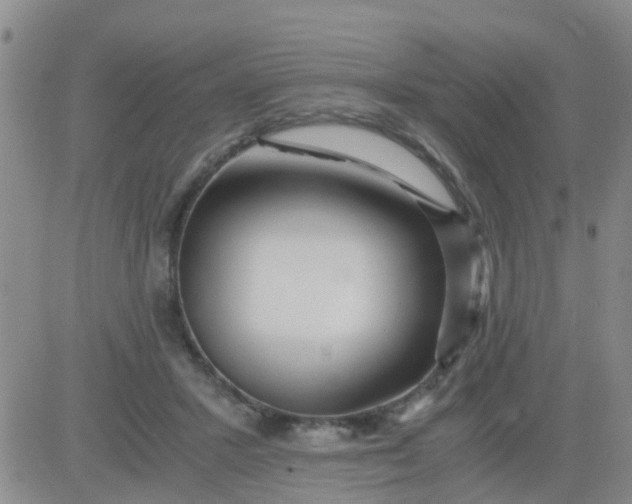 X0000084010407200703022036