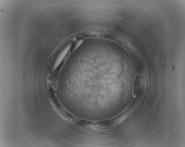 X0000084010408200703022036