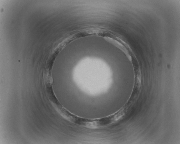 X0000084010411200703022036