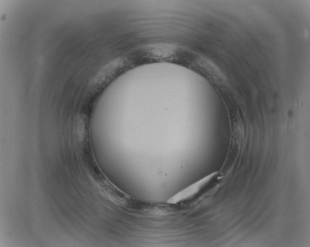 X0000084010412200703022036