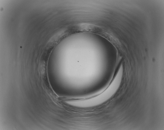 X0000084010413200703022036