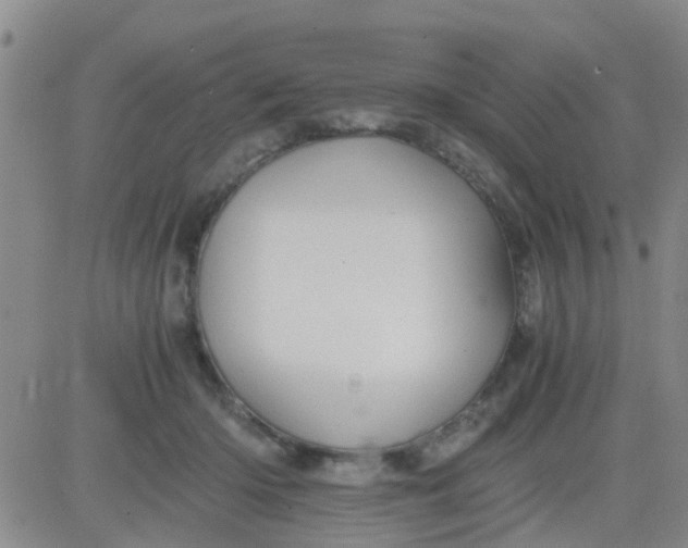 X0000084010414200703022036